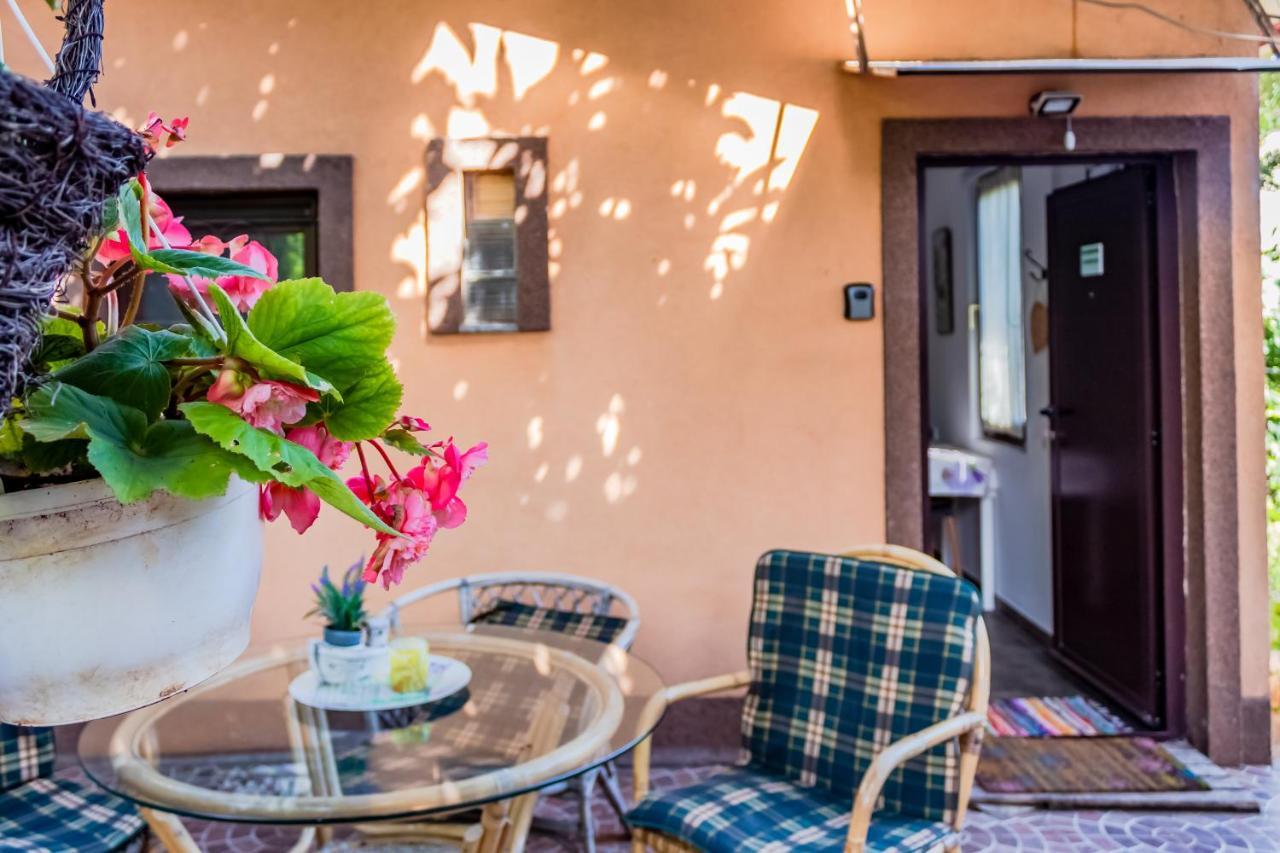 הוילה רייקה Little Garden House מראה חיצוני תמונה