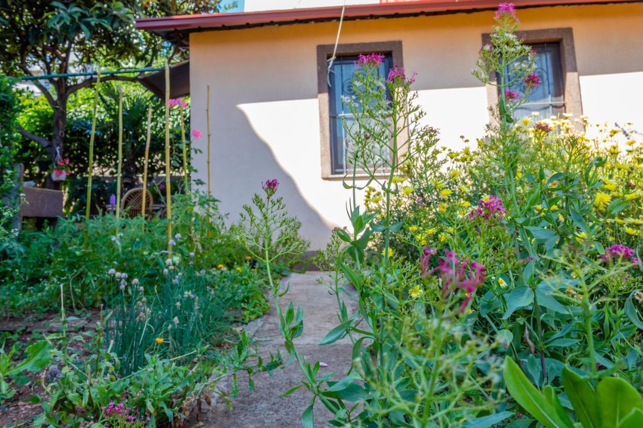 הוילה רייקה Little Garden House מראה חיצוני תמונה