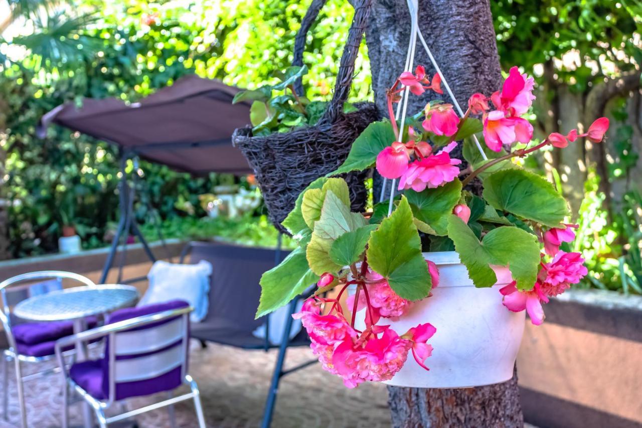 הוילה רייקה Little Garden House מראה חיצוני תמונה