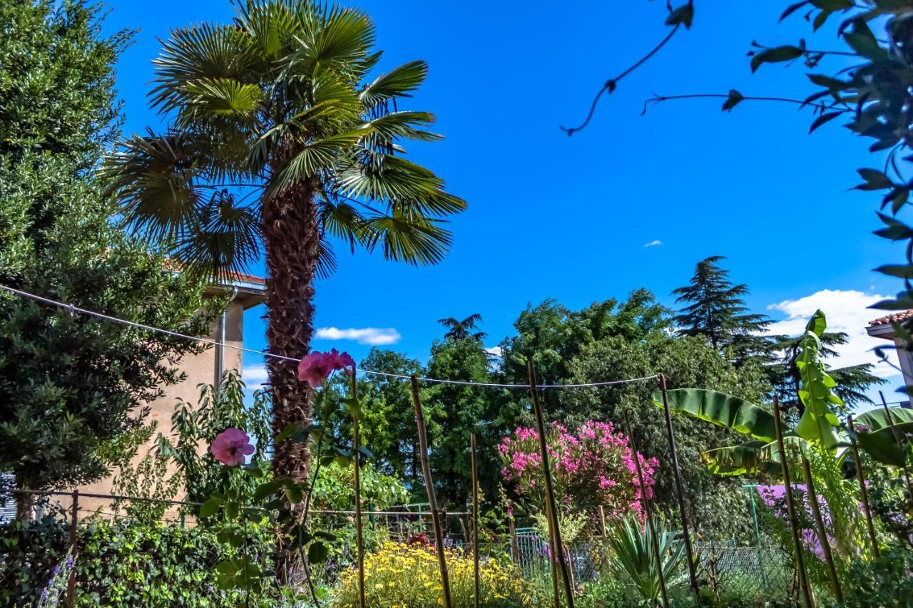 הוילה רייקה Little Garden House מראה חיצוני תמונה