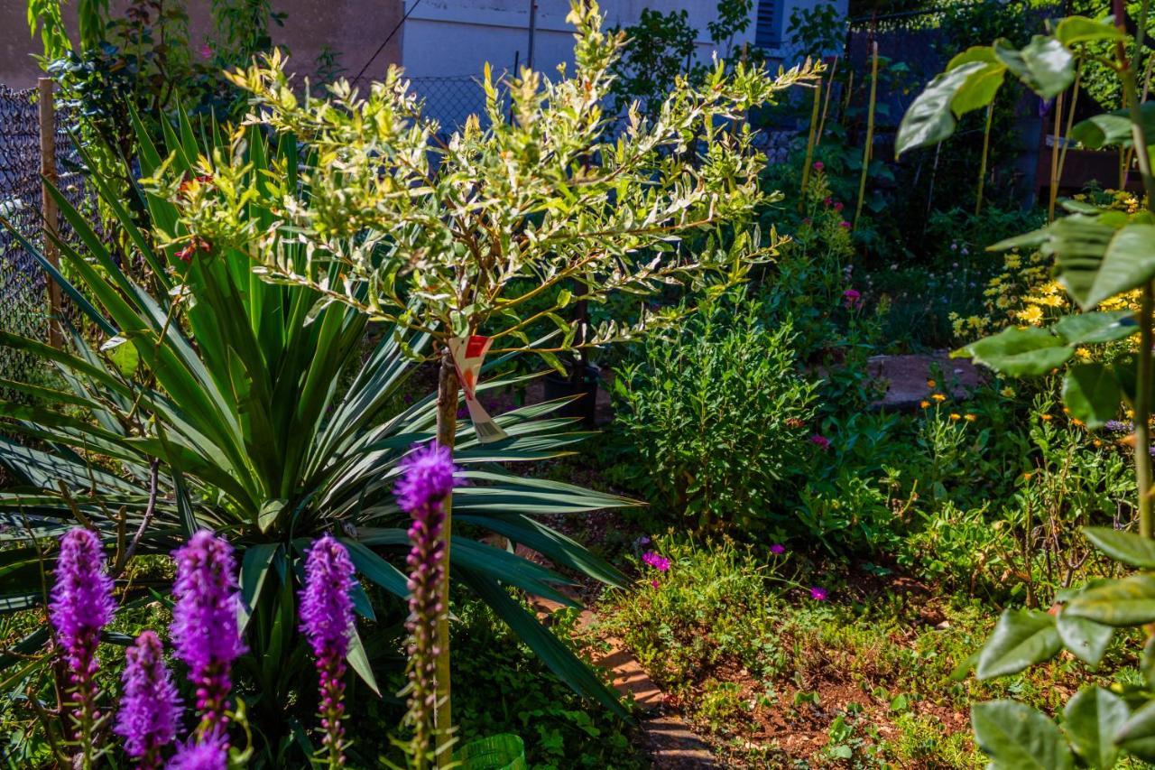 הוילה רייקה Little Garden House מראה חיצוני תמונה